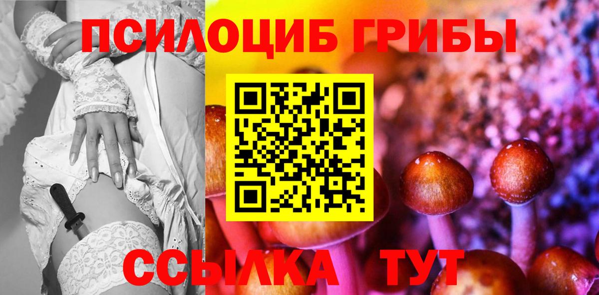 Москва  Псилоцибиновые грибы прущие грибы  Вход с VPN 